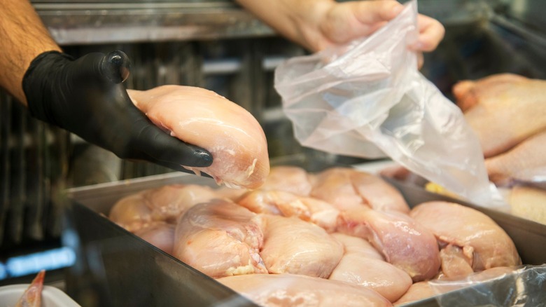 Person putting raw chicken into a plastic bag