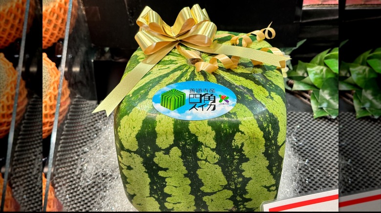 cube shaped Zentsuji watermelon sold in Japan