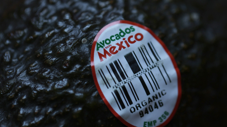 avocado with produce sticker designating Mexican origin