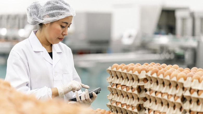 An egg processing employee enters information into a handheld device near a stack of eggs