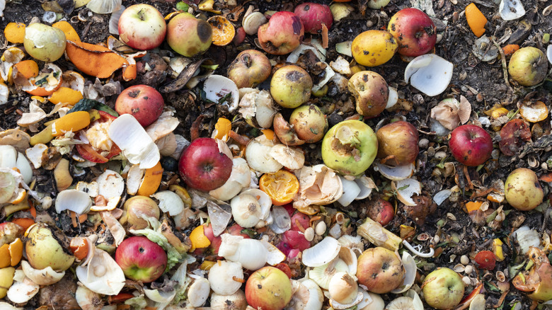 Pile of food on the ground