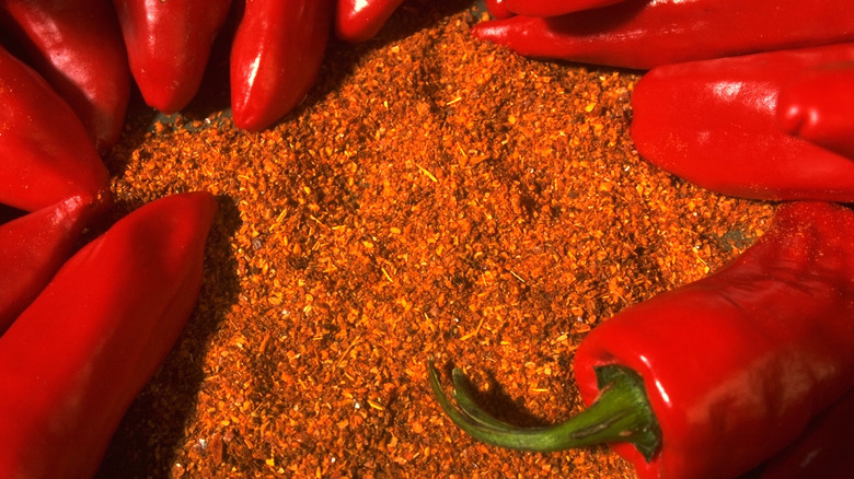 Dried, ground Espelette pepper with fresh chiles