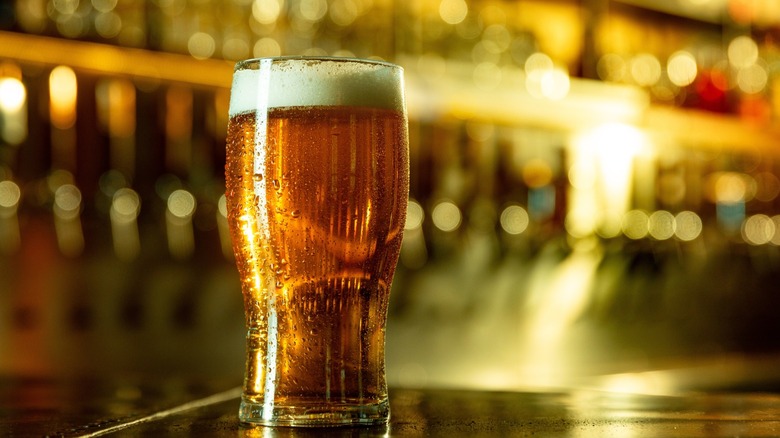 A tall, cold glass of beer on a bar.