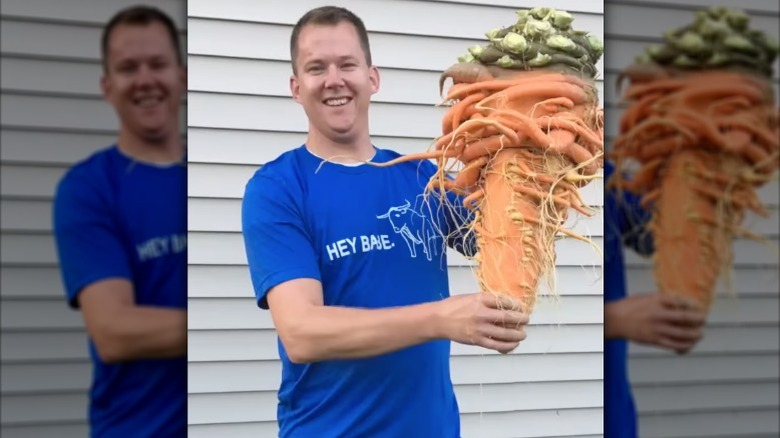 Christopher Qualley holding up his record breaking carrot