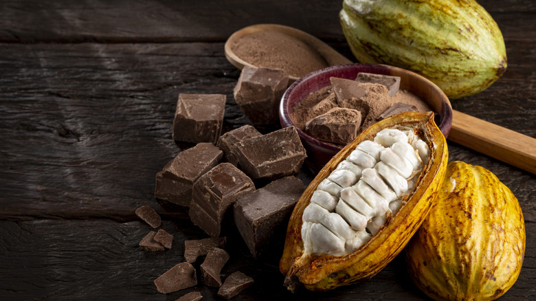 Cacao pods and pieces of chocolate with a wooden spoon and a ceramic dish of chocolate pieces