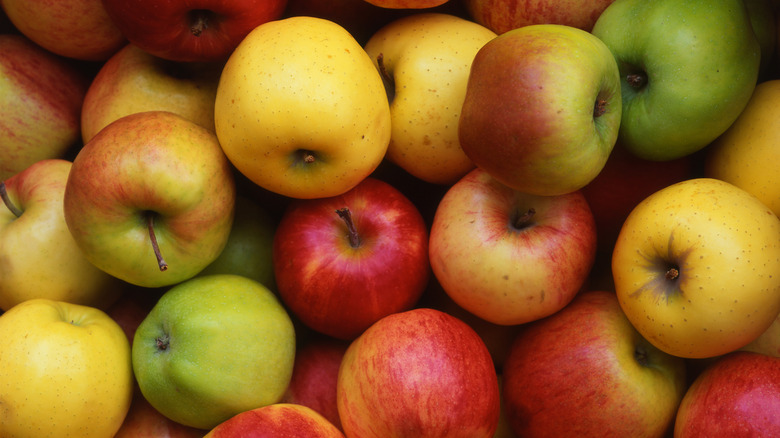 A variety of green, yellow, red, and multicolored apples
