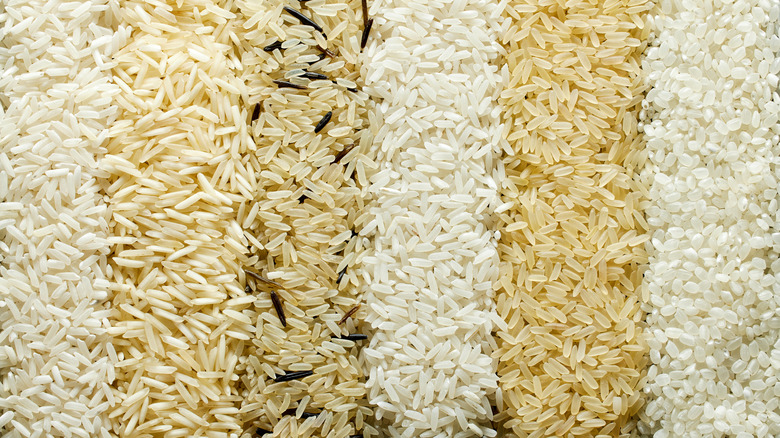 different kinds of rice in rows