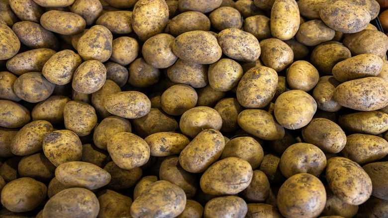 pile of russet potatoes