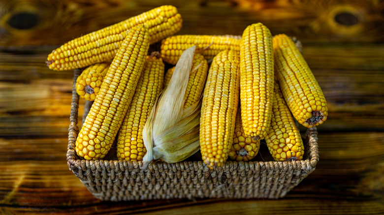 yellow corn ears in basket