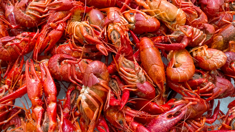 pile of crawfish