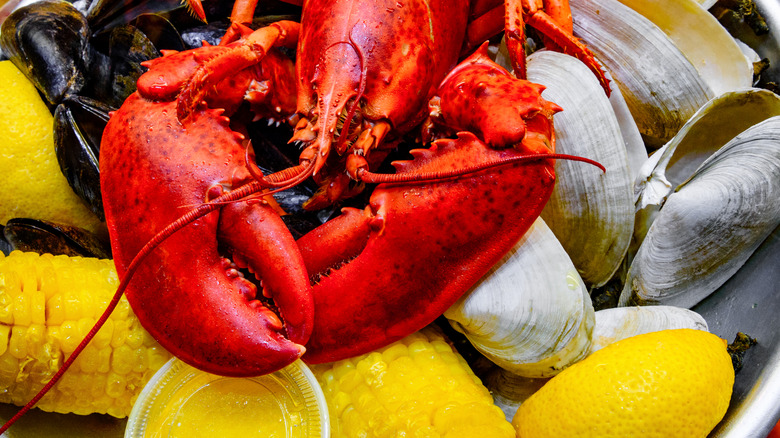 lobster atop lobster boil