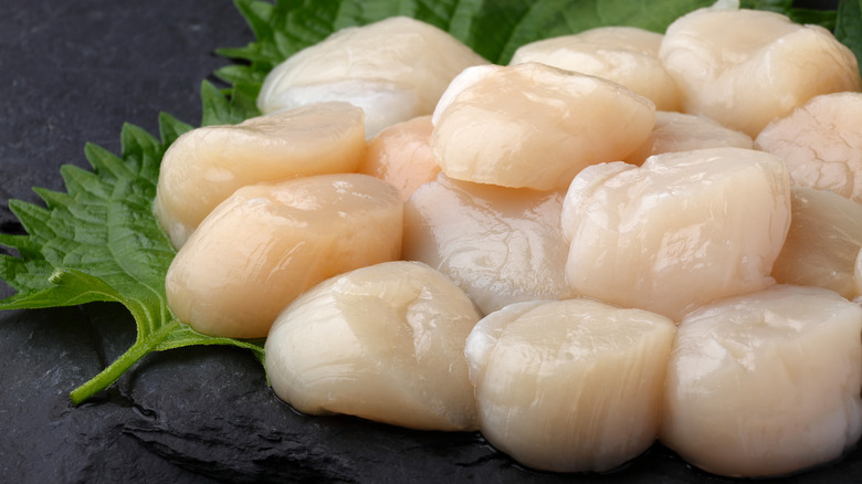 pile of scallops on black surface