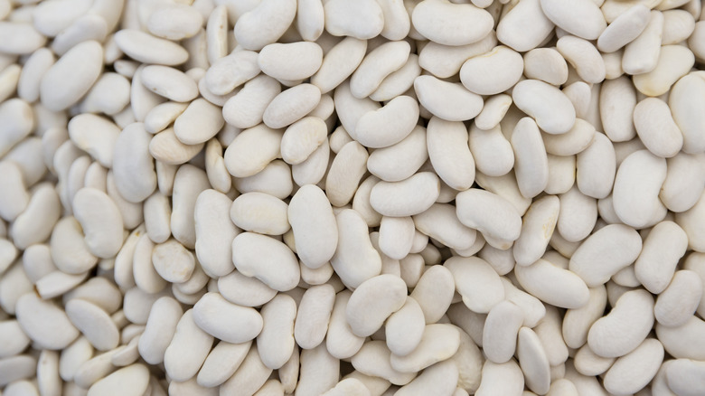 close-up of pile of Great Northern beans