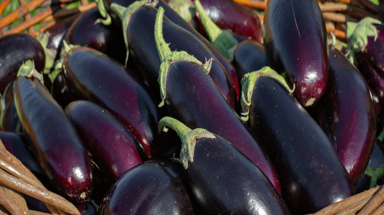 basket of fresh eggplant