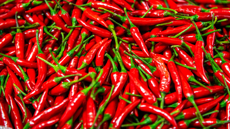 close-up of red chiles