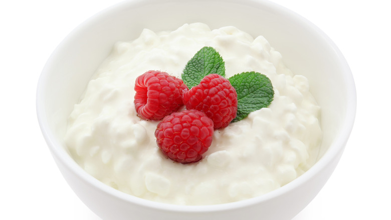 bowl of cottage cheese with berries