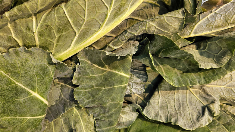chopped collard greens leaves