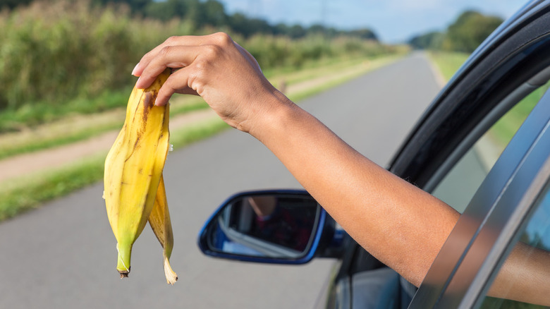 hand tosses banana peel out of car window