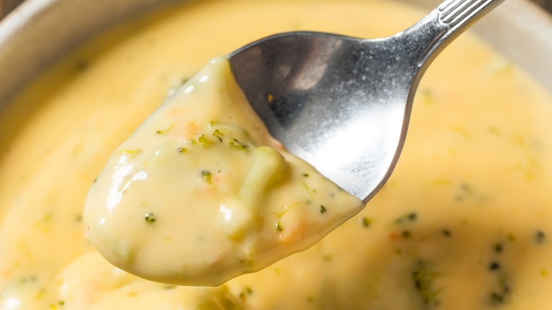 Close up spoon with broccoli cheese soup from bowl