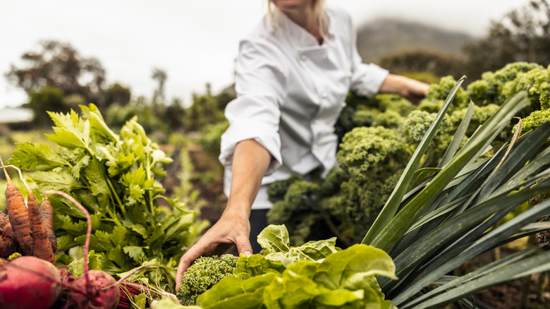 Chef on a farm reaching for green leafy vegetables