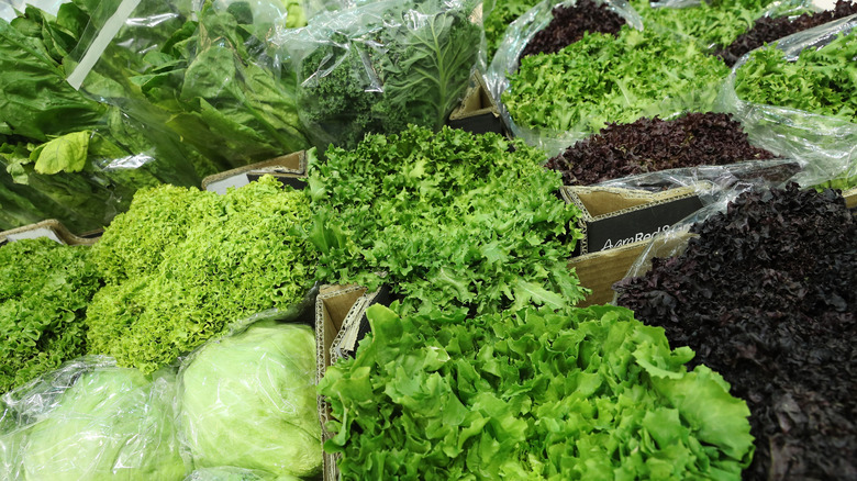 Assorted lettuce varieties in plastic packaging and boxes