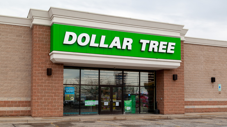 The outside of a Dollar Tree store seen from the parking lot.