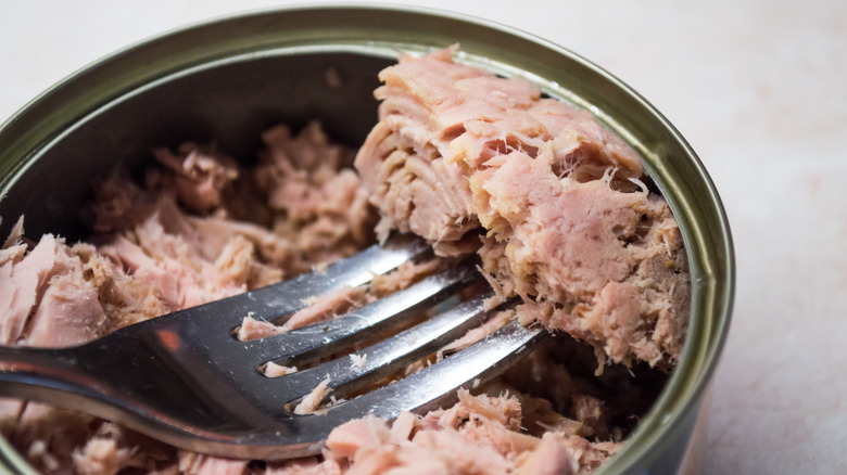 An open can of tuna with a fork on a white background.