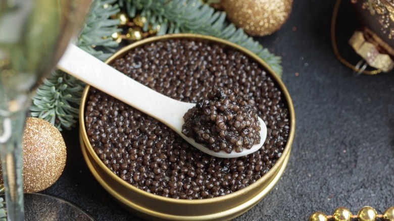 Black caviar in a silver spoon.