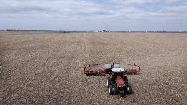 Farmer working on a soybean farm