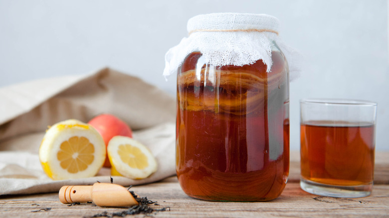 A batch of lemon-apple homemade kombucha in a large jar