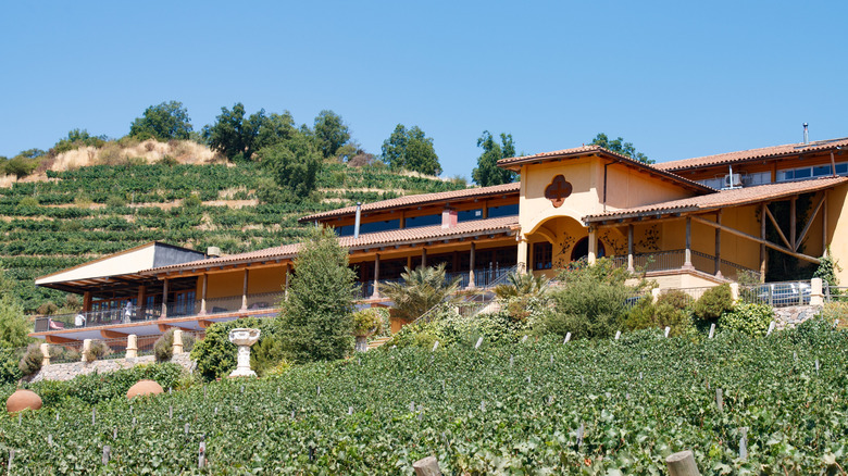 The front of a winery in California with grapes in front and the building in the centerground.