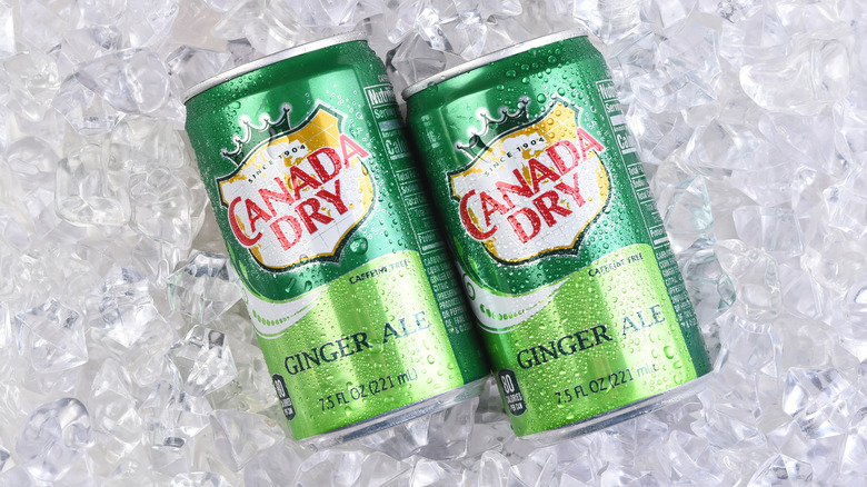 Miniature cans of Canada Dry ginger ale on ice
