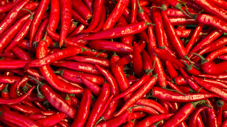 An abundance of red chili peppers