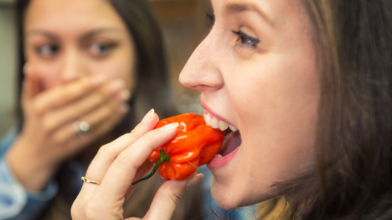 A young woman biting into a spicy pepper in the foreground, and a shocked young woman in the background