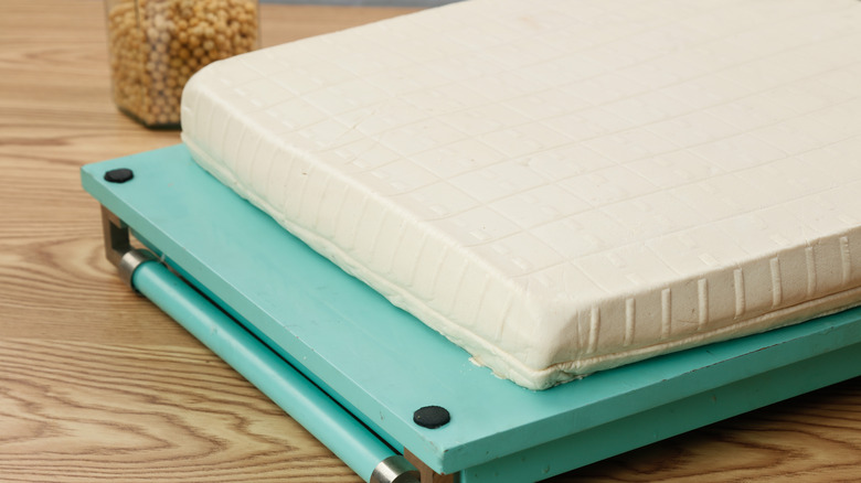 Tofu on a tofu press