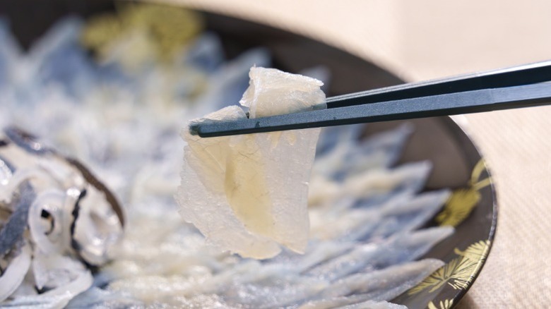 Fugu sashimi being prepared with chopsticks.