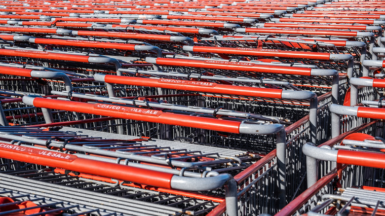 Costco shopping carts lined up in rows.