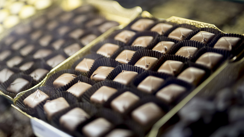 A closeup of chocolate candies
