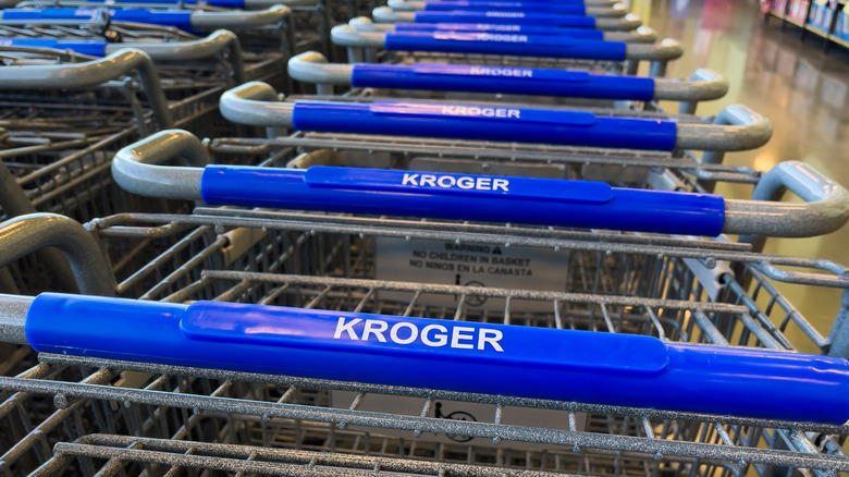 A train of Kroger shopping carts with blue handles on them inside of a store