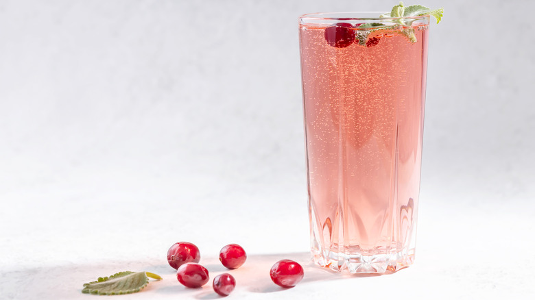 Cranberry fizzy spritzer drink with cranberries and green garnish