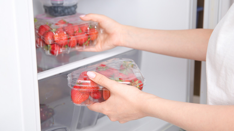 Person putting two packages of strawberries that are in their original store-bought plastic containers into fridge