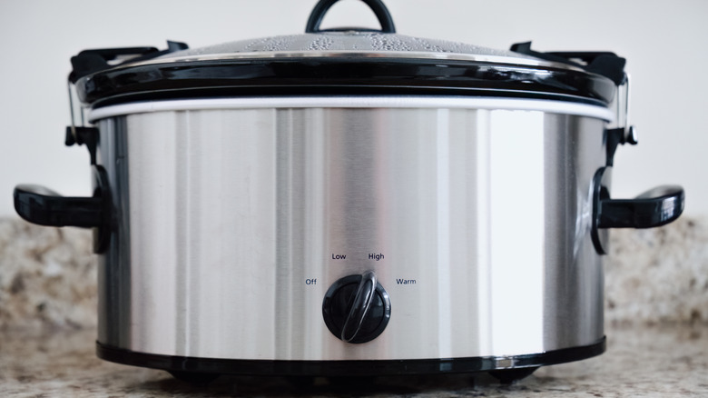A stainless steel slow cooker with a glass lid, set on a kitchen counter.
