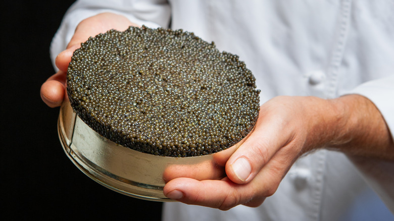 A chef holding a metal tin full of Beluga caviar