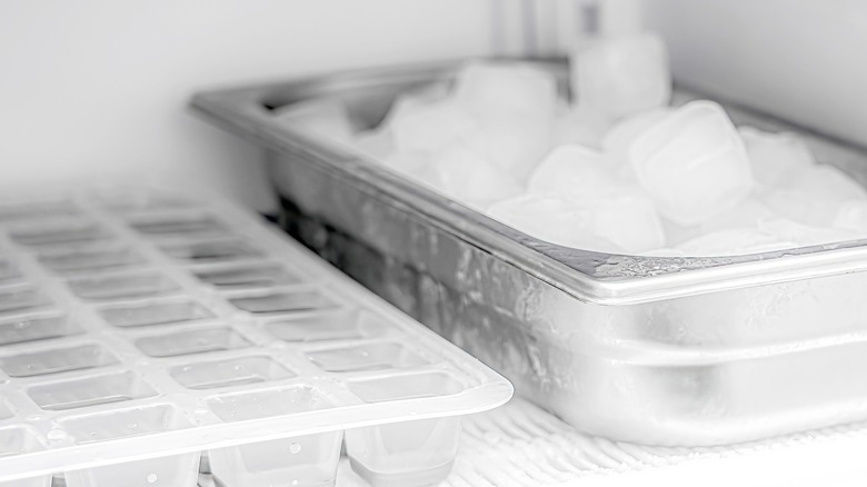 ice cubes in trays in a freezer