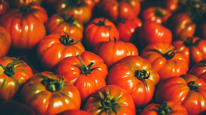 Fresh tomatoes