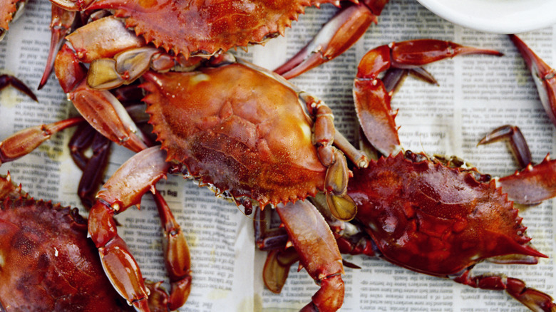 Whole steamed crabs on newspaper with lime wedges