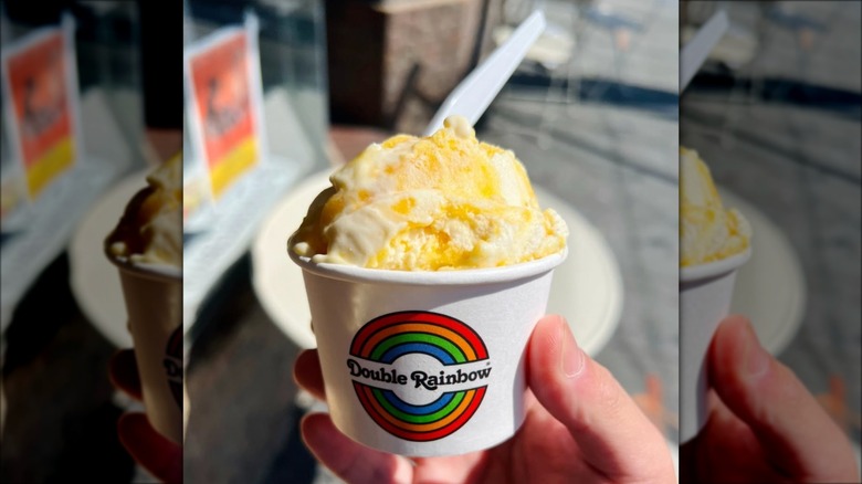 A hand holding a cup of Double Rainbow ice cream