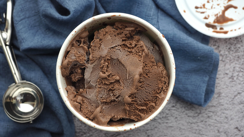 Chocolate ice cream pint with scooper