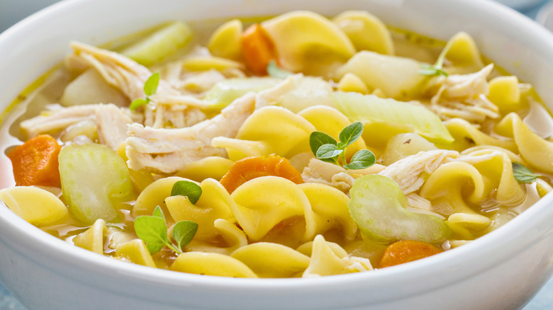 A closeup of a bowl of chicken noodle soup with vegetables and herbs