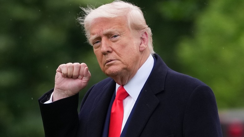 President Donald Trump in black coat with right fist held up.
